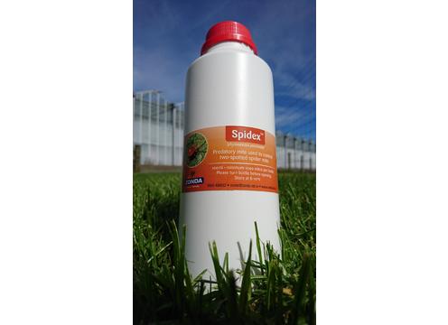 product image for Spidex 1 Litre