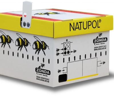 image of Display Hives (Coming Soon)